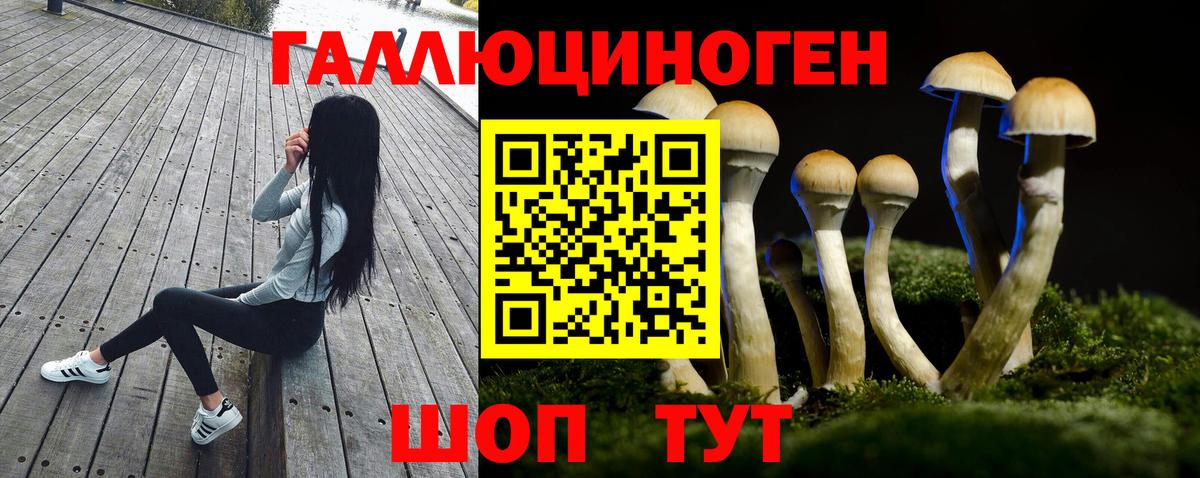 Псилоцибиновые грибы Magic Shrooms Шумерля