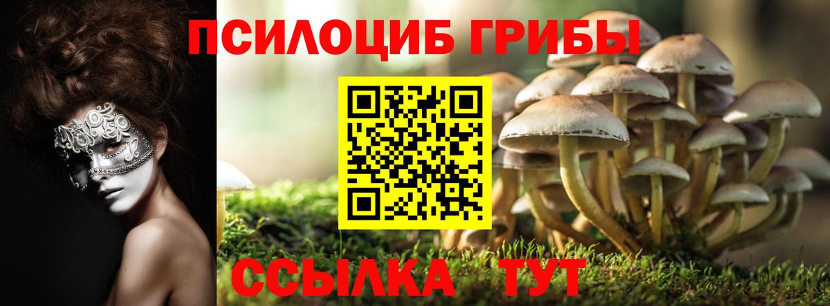 Галлюциногенные грибы мухоморы  Вход с VPN  Шумерля 